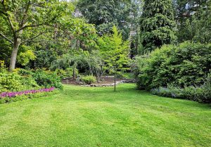 Optimiser l'expérience du jardin à La Chapelle-de-Surieu